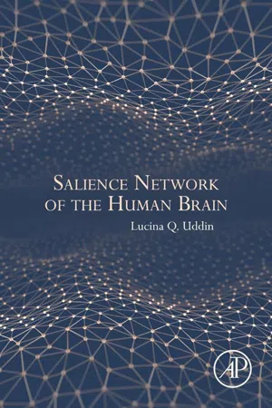 Salience Network of the Human Brain