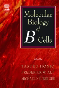 Molecular Biology of B Cells_cover