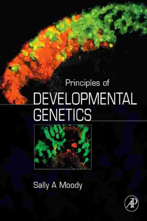 Principles of Developmental Genetics