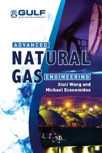 Advanced Natural Gas Engineering_cover