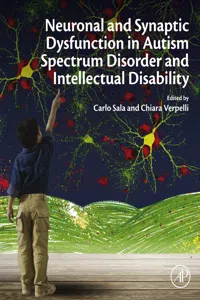 Neuronal and Synaptic Dysfunction in Autism Spectrum Disorder and Intellectual Disability_cover