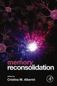Memory Reconsolidation_cover