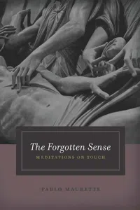 The Forgotten Sense_cover