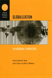 Globalization in Historical Perspective_cover