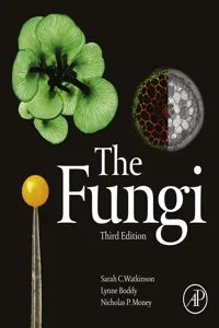 The Fungi_cover