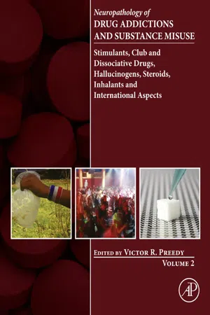 Neuropathology of Drug Addictions and Substance Misuse Volume 2