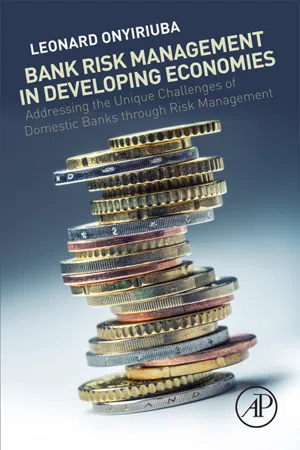 Bank Risk Management in Developing Economies