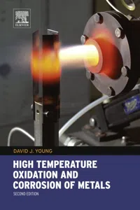 High Temperature Oxidation and Corrosion of Metals_cover