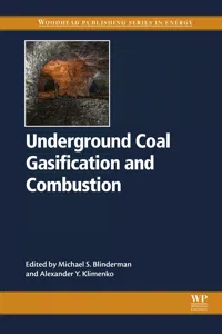 Underground Coal Gasification and Combustion_cover
