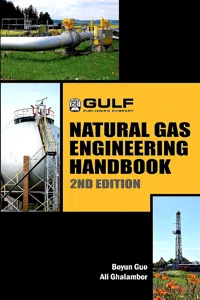 Natural Gas Engineering Handbook_cover