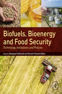 Biofuels, Bioenergy and Food Security_cover