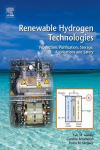 Renewable Hydrogen Technologies_cover