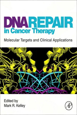 DNA Repair in Cancer Therapy