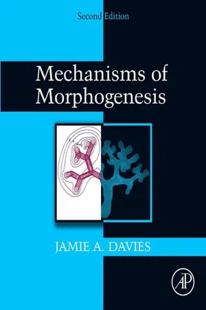 Mechanisms of Morphogenesis