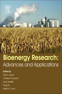 Bioenergy Research: Advances and Applications_cover