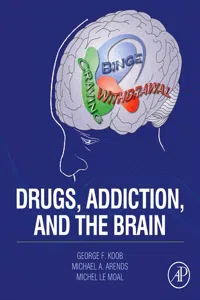 Drugs, Addiction, and the Brain_cover