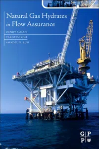 Natural Gas Hydrates in Flow Assurance_cover