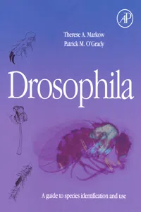 Drosophila_cover