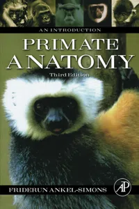 Primate Anatomy_cover