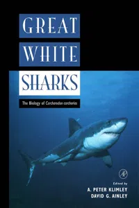 Great White Sharks_cover
