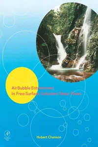 Air Bubble Entrainment in Free-Surface Turbulent Shear Flows_cover