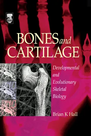 Bones and Cartilage