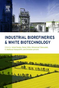 Industrial Biorefineries and White Biotechnology_cover