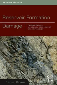 Reservoir Formation Damage_cover