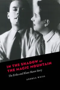 In the Shadow of the Magic Mountain_cover