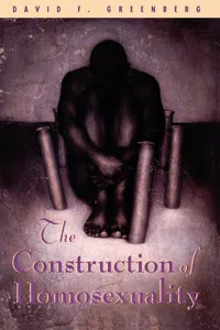 The Construction of Homosexuality_cover