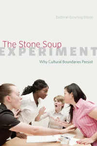 The Stone Soup Experiment_cover