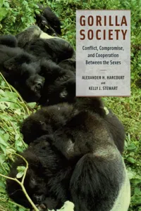 Gorilla Society_cover