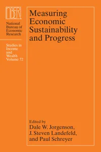 Measuring Economic Sustainability and Progress_cover