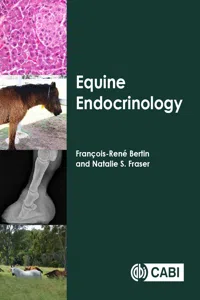 Equine Endocrinology_cover