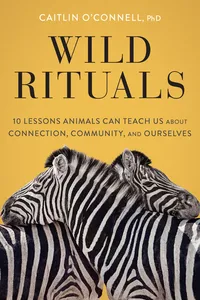 Wild Rituals_cover