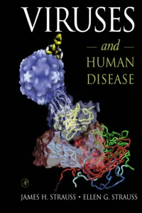 Viruses and Human Disease_cover