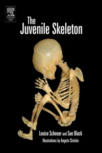 The Juvenile Skeleton_cover