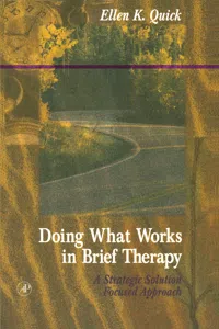 Doing What Works in Brief Therapy_cover