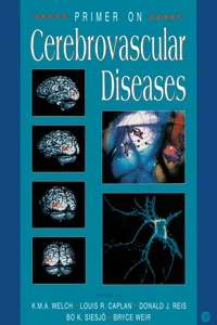 Primer on Cerebrovascular Diseases_cover