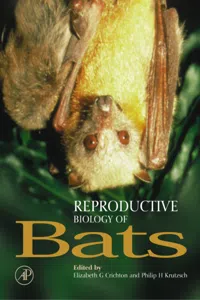 Reproductive Biology of Bats_cover