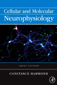 Cellular and Molecular Neurophysiology_cover