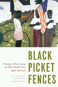 Black Picket Fences, Second Edition_cover