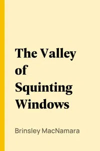 The Valley of Squinting Windows_cover