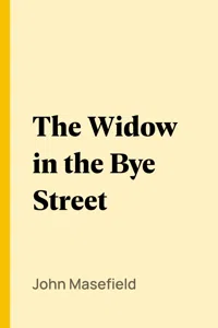 The Widow in the Bye Street_cover