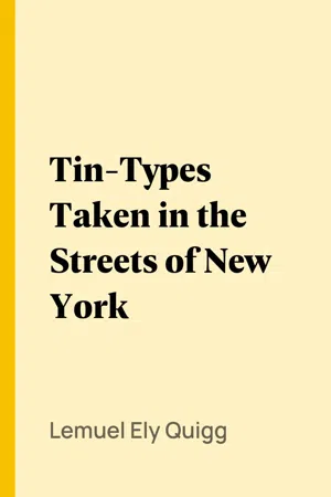 Tin-Types Taken in the Streets of New York