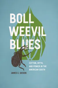 Boll Weevil Blues_cover