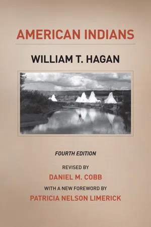 The Chicago History of American Civilization