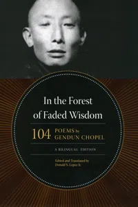 In the Forest of Faded Wisdom_cover