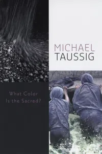 What Color Is the Sacred?_cover