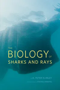 The Biology of Sharks and Rays_cover